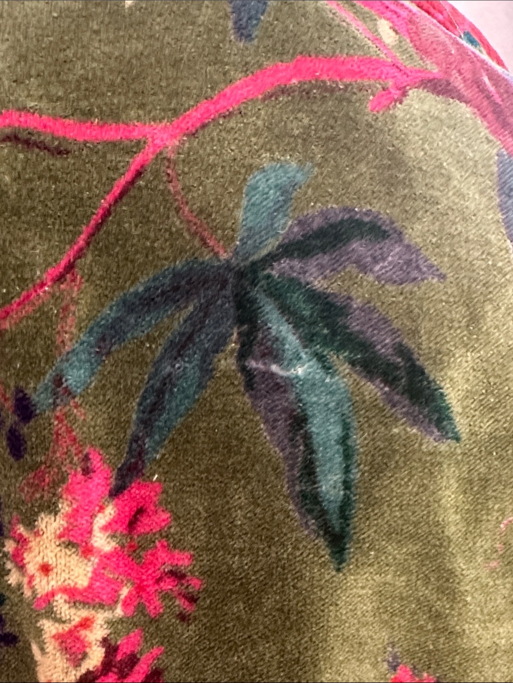 Velvet Bird Print Robe - Picture 6 of 6